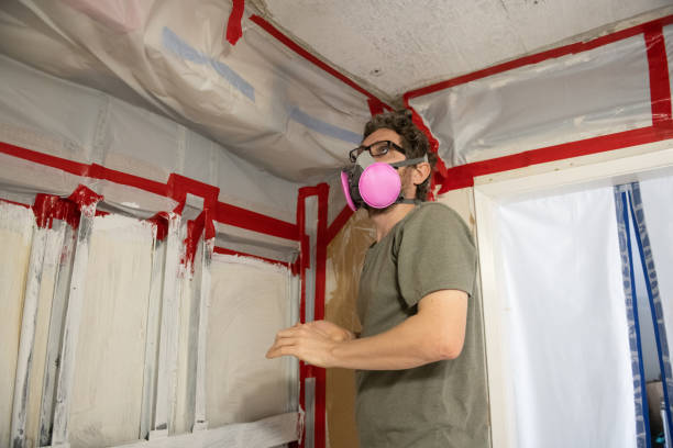 Best Basement Mold Removal  in Cornelius, NC
