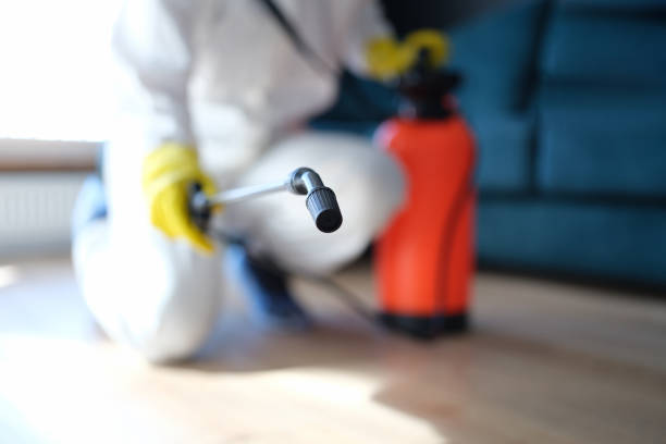 Best Air Quality Testing for Mold Spores  in Cornelius, NC