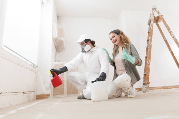Best Mold Odor Removal Services  in Cornelius, NC
