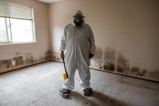 Best HVAC Mold Inspection and Cleaning  in Cornelius, NC